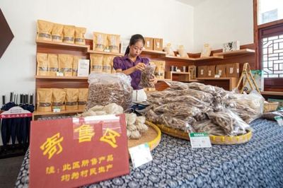 诗意田园“走”出深山，寄卖服务铺就文化致富路